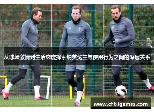 从球场激情到生活态度探索纳英戈兰与使用行为之间的深层关系