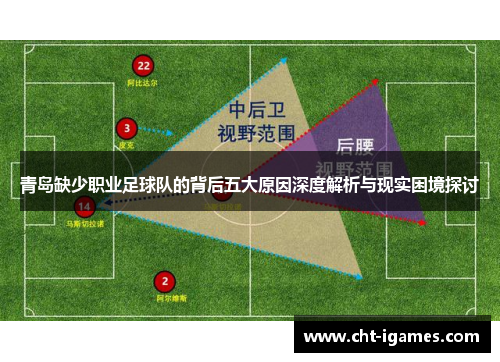 青岛缺少职业足球队的背后五大原因深度解析与现实困境探讨
