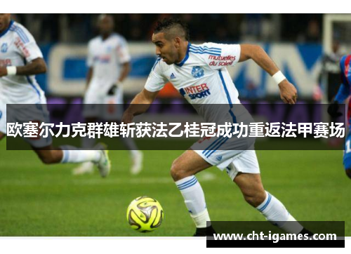 欧塞尔力克群雄斩获法乙桂冠成功重返法甲赛场