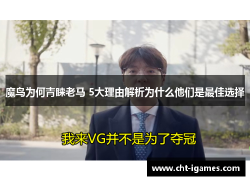 魔鸟为何青睐老马 5大理由解析为什么他们是最佳选择